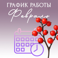 График работы Февраль 2026 - Стоматология «Галактика» в Екатеринбурге