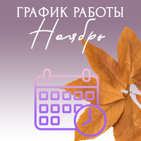 График работы Ноябрь 2025 - Стоматология «Галактика» в Екатеринбурге